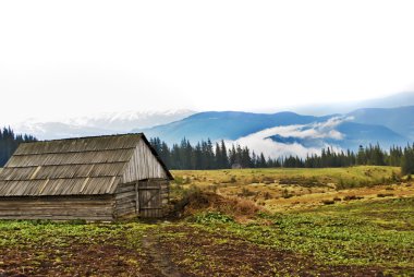 sis ve ağaçları, ahşap ev ile kaplı dağ.
