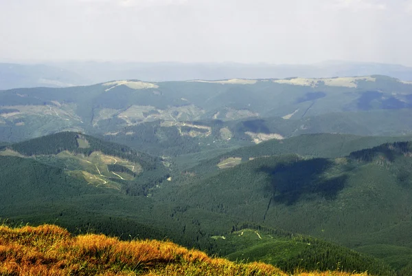 Montagnes couvertes d'arbres . — Photo