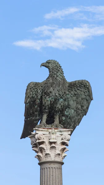 Águia de bronze — Fotografia de Stock