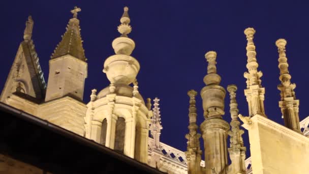 Dettaglio Cattedrale di Leon. Spagna — Video Stock