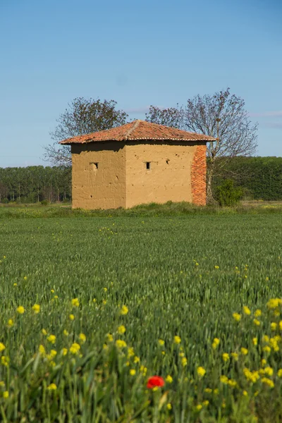 Mud hut in the field in spring — Stock Photo, Image