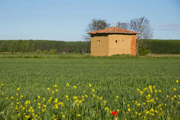 Mud hut in the field in spring — Stock Photo, Image