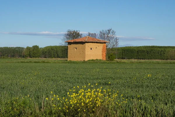Lehmhütte auf dem Feld im Frühling Stockfoto