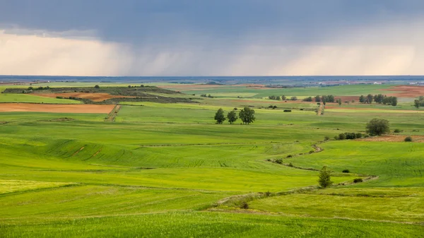 Green and flat landscape with storm