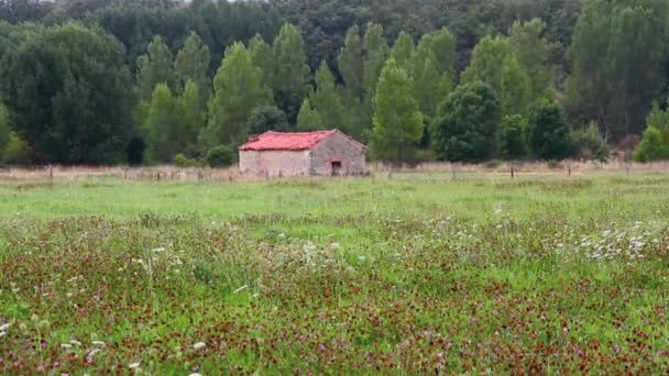 Paisaje verde prado con casa — Vídeo de stock