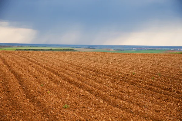 Landscape with Land Planted — Stock Photo, Image