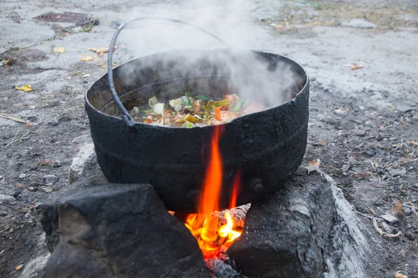 動物 - ペットのための食糧を焼くための食事を調理します。 — ストック写真