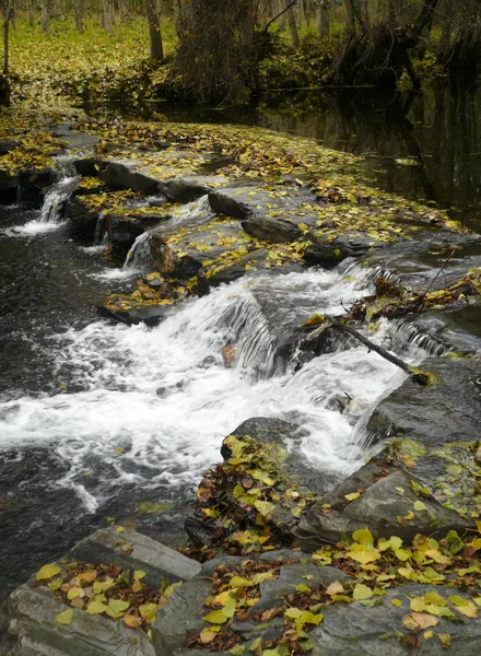 Fiume d'autunno — Foto Stock