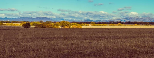 Field and Mountain Landscape — Stock Photo, Image