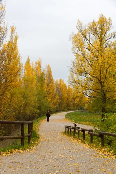 Herfst park met mensen lopen — Stockfoto