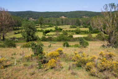 Landscape of Meadows and Groves clipart