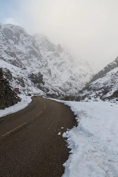 Снежная горная дорога — стоковое фото