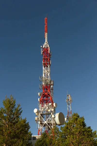 Telecommunicatietoren Metalen Ontvangst Emissie Onder Dennen — Stockfoto