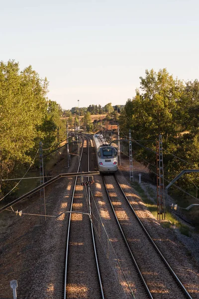 Dobre Através Circulação Trem Passageiros Branco Verão Árvores Com Luzes — Fotografia de Stock