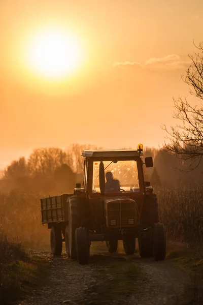 Tractor Remolque Acercándose Desde Camino Tierra Hasta Atardecer Imagen De Stock