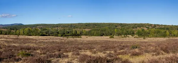 Panorama Countryside Summer Flat Land Trees Grove River Banks Hills — Stock Photo, Image