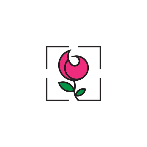 Colorful Rose Flower Photo Square Frame Focus Symbol Vector — Image vectorielle