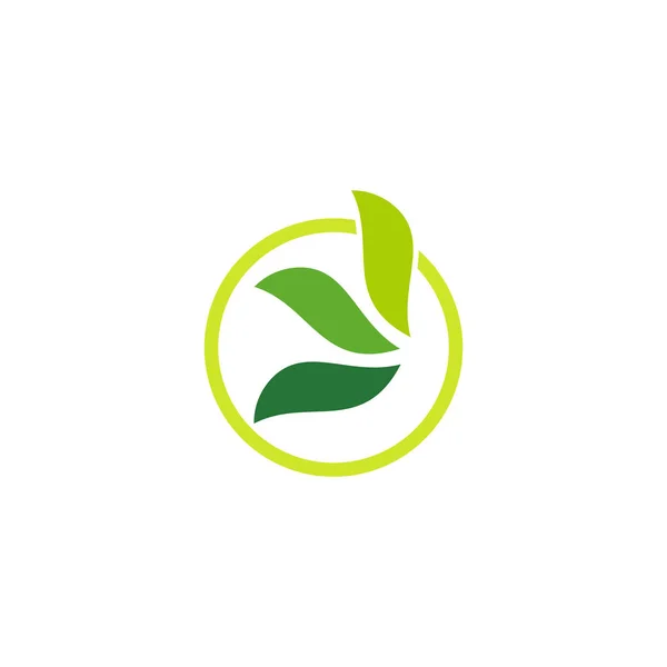 Abstract Letter Leaf Colorful Logo Vector — Stok Vektör