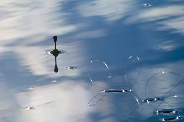 Balık için bekliyor