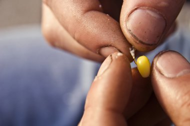 balıkçılık için hazırlanıyor