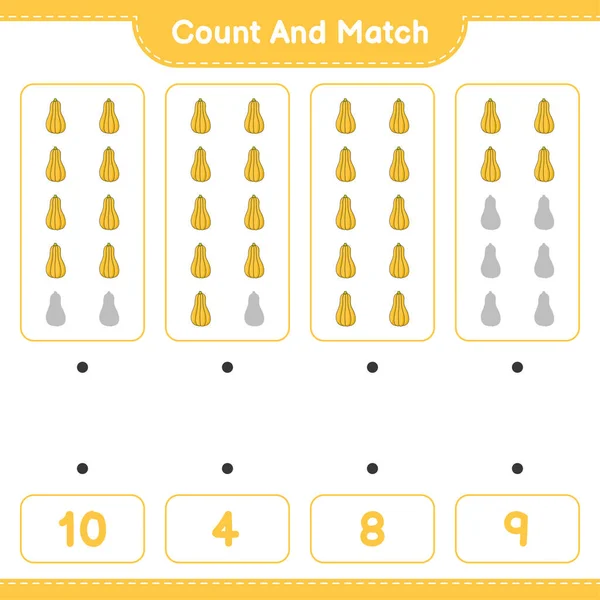 Zählen Und Übereinstimmen Die Anzahl Der Butternut Squash Zählen Und — Stockvektor