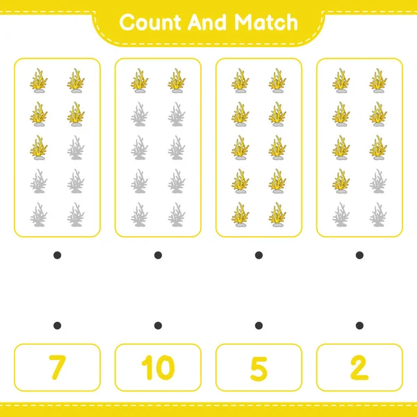 Contare Abbinare Contare Numero Corallo Abbinare Con Numeri Giusti Gioco — Vettoriale Stock