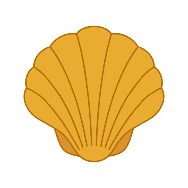 Beyaz arkaplanda deniz kabuğu izole