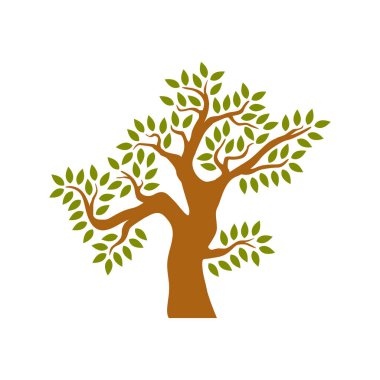 Beyaz arkaplanda izole edilmiş ağaç