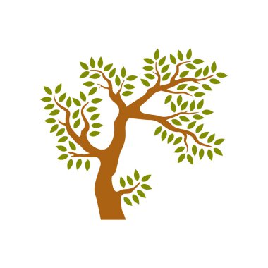 Beyaz arkaplanda izole edilmiş ağaç