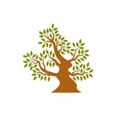 Beyaz arkaplanda izole edilmiş ağaç