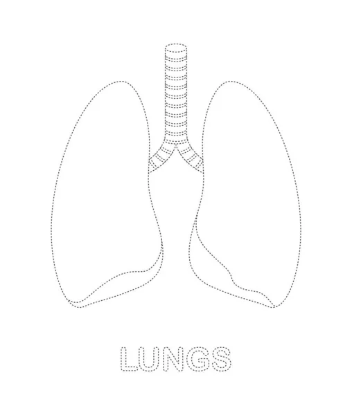 Lungs Tracing Worksheet Kids — Stock Vector