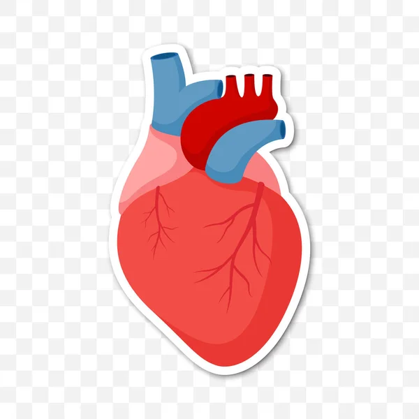 Stiker Catatan Dengan Jantung Manusia Vektor - Stok Vektor