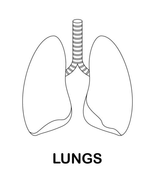 Coloring Page Lungs Kids — Stock Vector