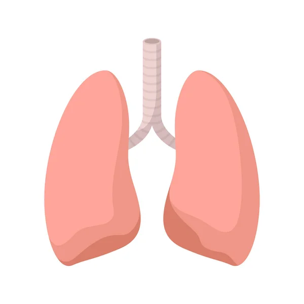 Pulmones Aislados Sobre Fondo Blanco — Archivo Imágenes Vectoriales