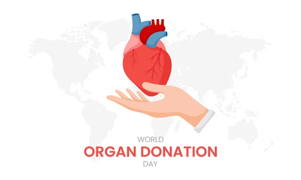 Εθνική Ημέρα Δωρητή Οργάνων Την Ανθρώπινη Καρδιά — Διανυσματικό Αρχείο