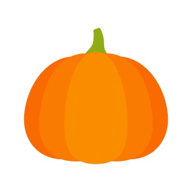 Beyaz arkaplanda kabak izole