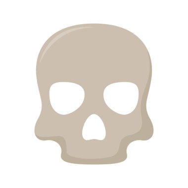 kafatası beyaz arkaplanda izole edildi