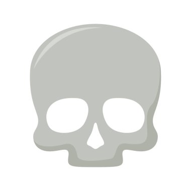 kafatası beyaz arkaplanda izole edildi