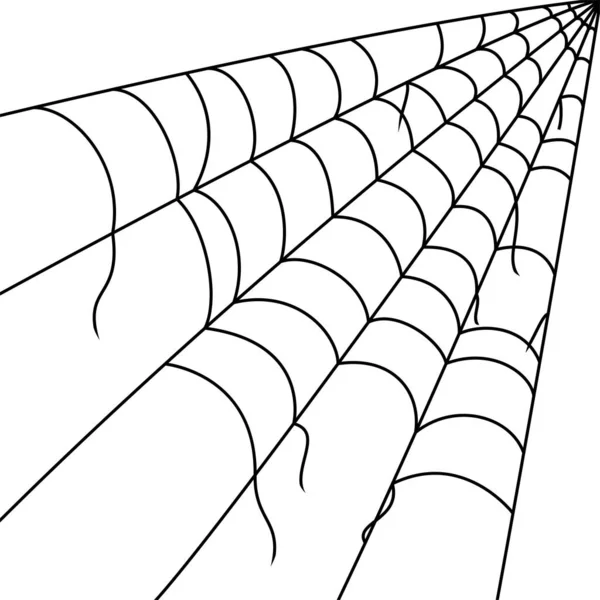 Spinnennetz Isoliert Auf Weißem Hintergrund — Stockvektor