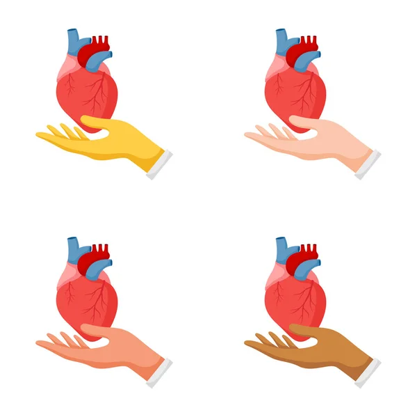 Conjunto Gestos Mãos Com Coração Humano —  Vetores de Stock