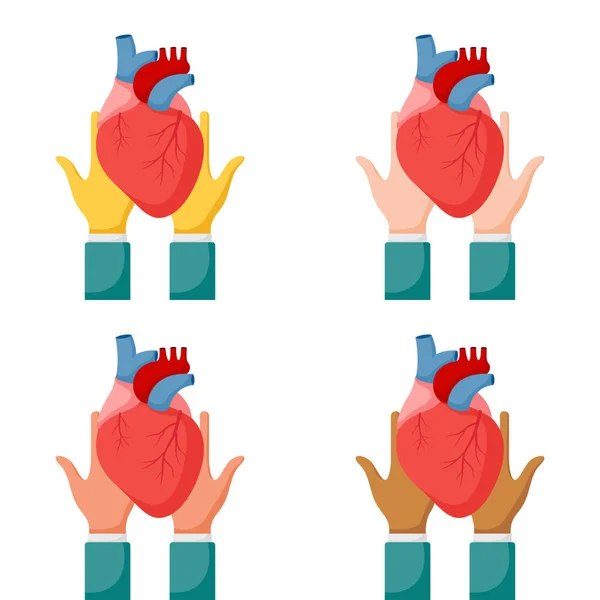 Conjunto Gestos Mãos Com Coração Humano — Vetor de Stock