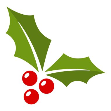 Holly dut üzerinde izole beyaz arka plan