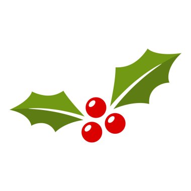 Holly dut üzerinde izole beyaz arka plan