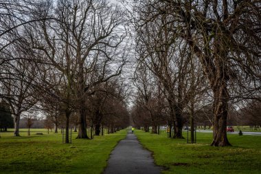 İnsanlar koşarken parkın manzarası, yeşil çimlerle biçimlendirilmiş düzensiz patika ve kışın yapraksız ağaçlarla çevrili. Sükunet, rahatlama ve zindelik kavramı