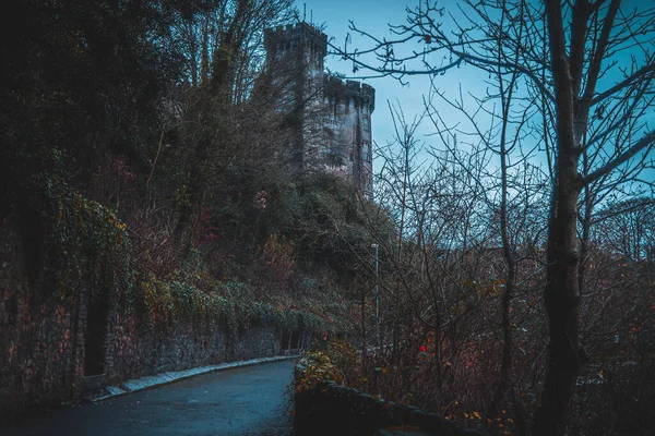 Kilkenny Ireland December 2018 Pathway Kilkenny Castle River Nore Wonderful — 图库照片