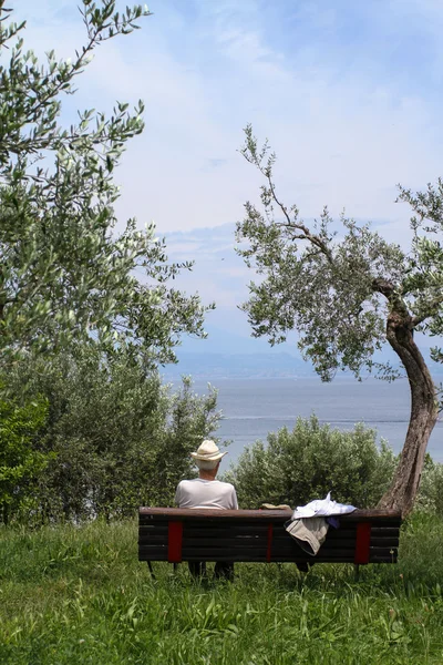 Sitting on the bench — Stock Photo, Image