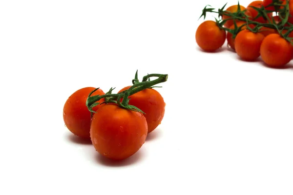 The wet tomatoes — Stock Photo, Image