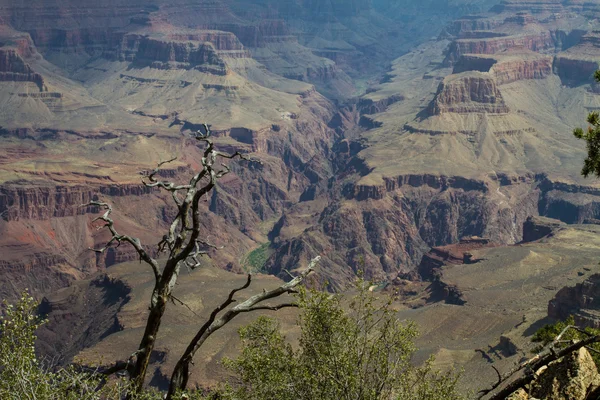 Tampilan Grand Canyon — Stok Foto
