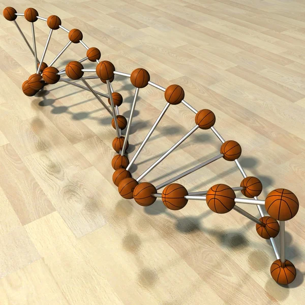 Chaîne d'ADN du joueur de basket-ball dans le domaine du parquet 05 — Photo