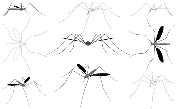 Vecteur de moustiques — Image vectorielle